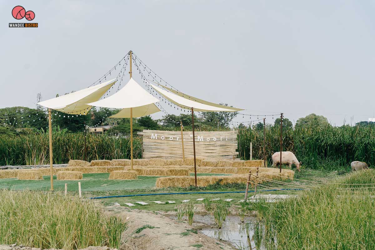 Moori Moori Cafe ร้านอาหารในเมือง บรรยากาศธรรมชาติ