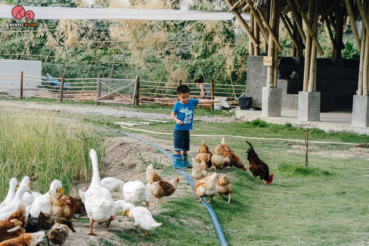 Moori Moori Cafe ร้านอาหารในเมือง บรรยากาศธรรมชาติ