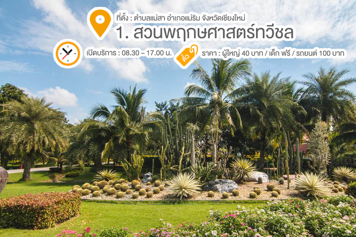 รวม 10 สถานที่ลั้ลลา พาลูกเที่ยวเชียงใหม่