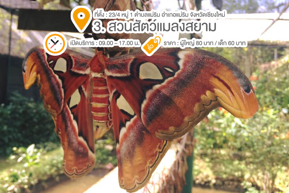 รวม 10 สถานที่ลั้ลลา พาลูกเที่ยวเชียงใหม่