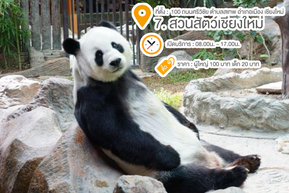 รวม 10 สถานที่ลั้ลลา พาลูกเที่ยวเชียงใหม่