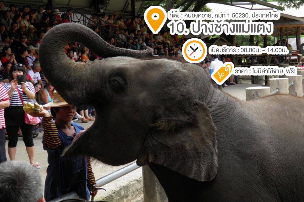 รวม 10 สถานที่ลั้ลลา พาลูกเที่ยวเชียงใหม่