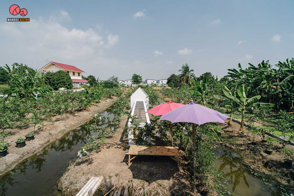 ชิลล์สวน นนทบุรี กินเตี๋ยวริมน้ำ รสจัดจ้านสะท้านดงฝรั่ง ชิมฟรีฝรั่งหน้าสวน!! 
