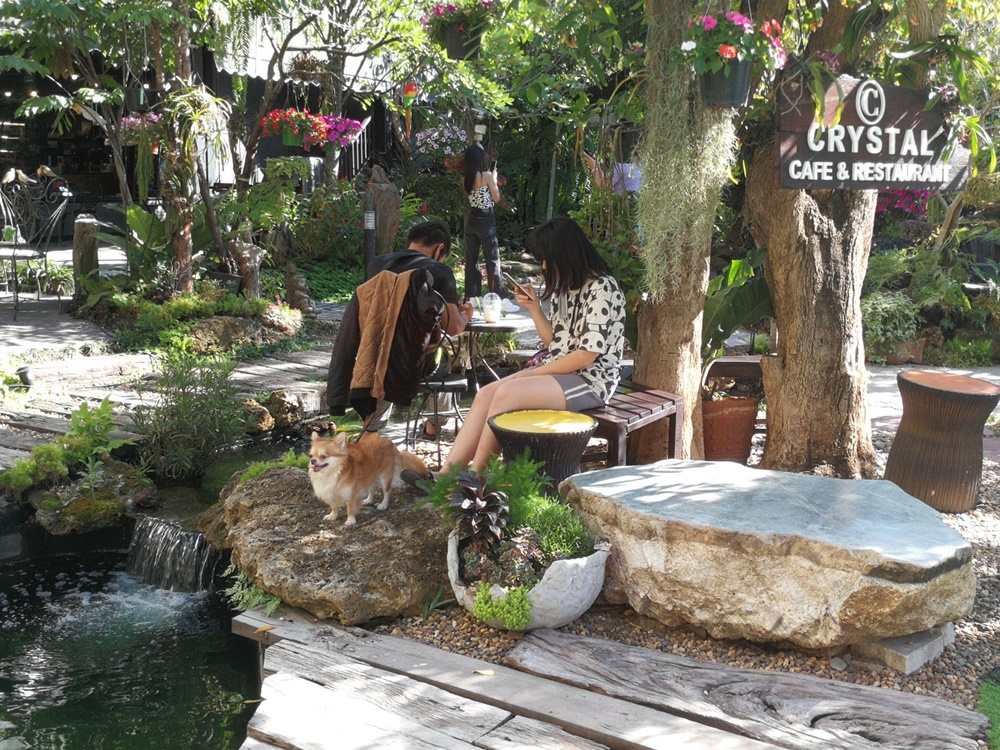 คริสตัลคาเฟ่ โคราช รื่นรมย์ไปกับสวนน้ำตกและสีเขียวของสวนป่าภายในร้าน 